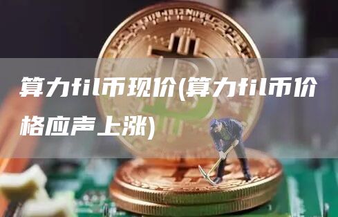 算力fil币现价 - 算力fil币价格应声上涨